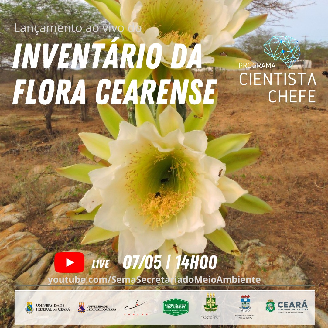 Através do programa Cientista Chefe, Sema irá lançar Inventário da Flora  Cearense - Fundação Cearense de Apoio ao Desenvolvimento Científico e  Tecnológico